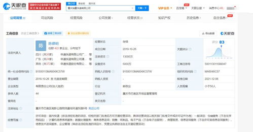 專業(yè)商務信息咨詢 企業(yè)決策的智慧引擎